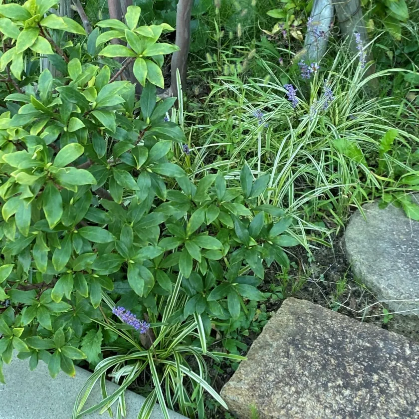 四季を感じ、ほっとする空間づくり