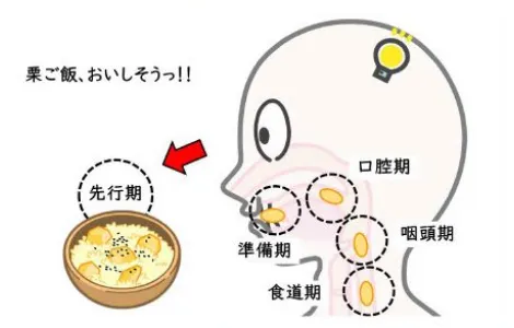 くすりの飲み方