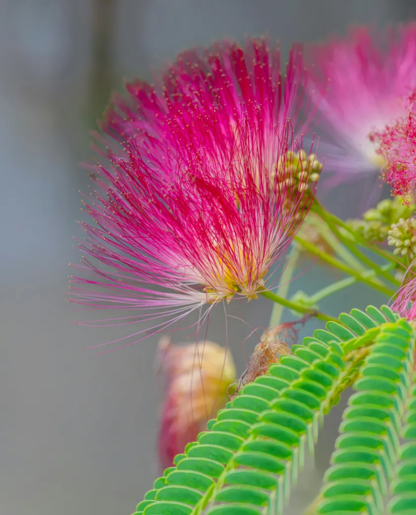 梅雨明けの話題と気候変動
