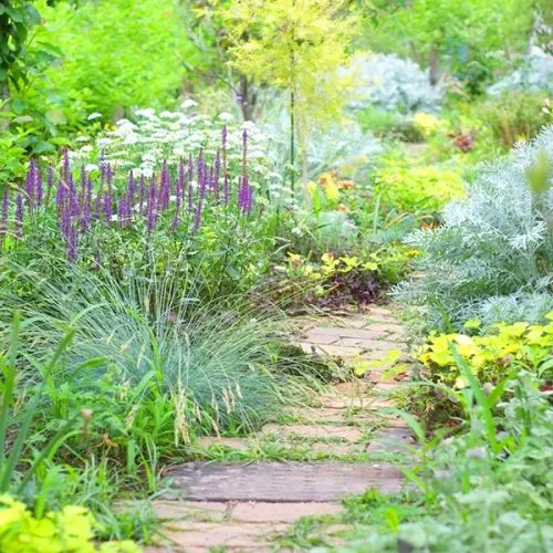 夏の朝の訪れと人々の思い出