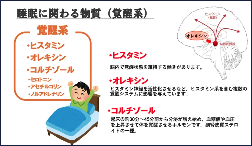 眠りを整える