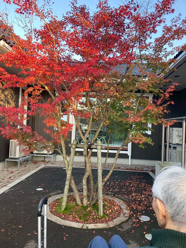 ものがたりの郷