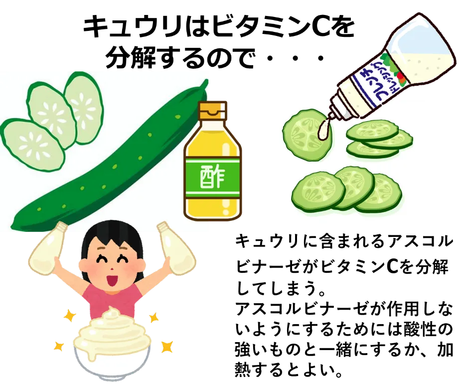 薬と食の相互作用