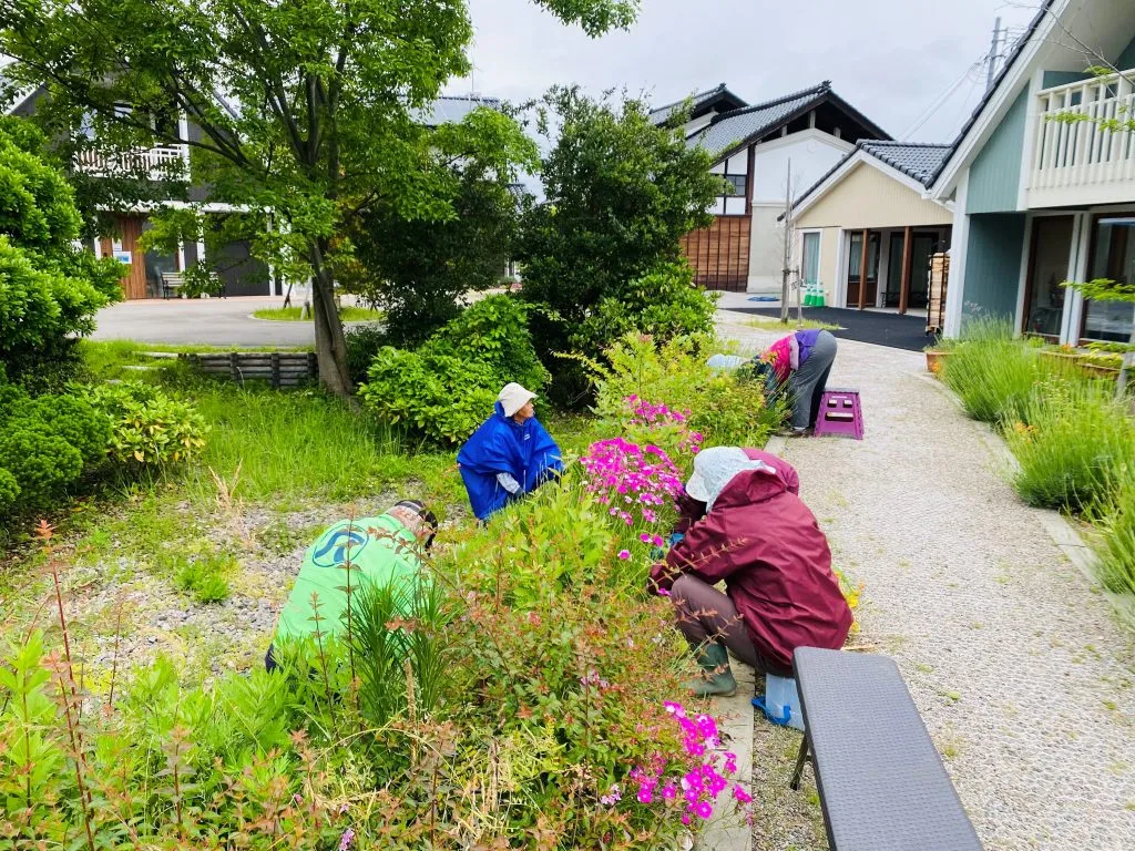 秋まで咲く花を植える準備