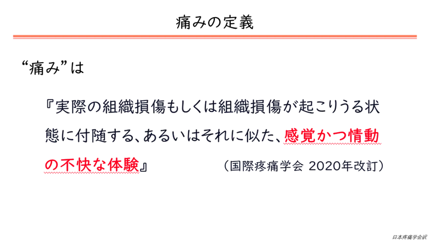 身近なくすり：痛み止め講座