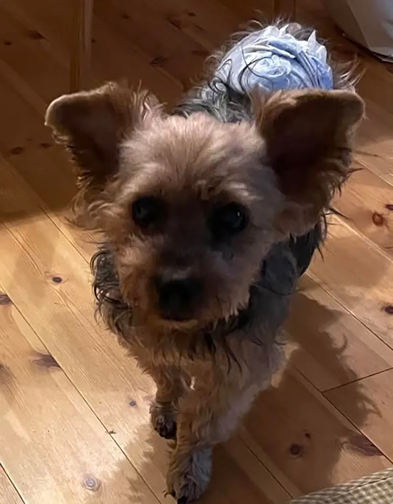 「人生会議」という言葉