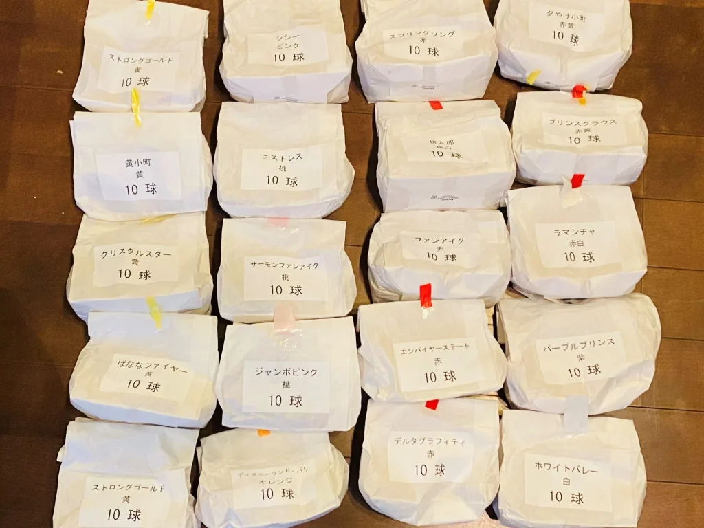 チューリップの球根