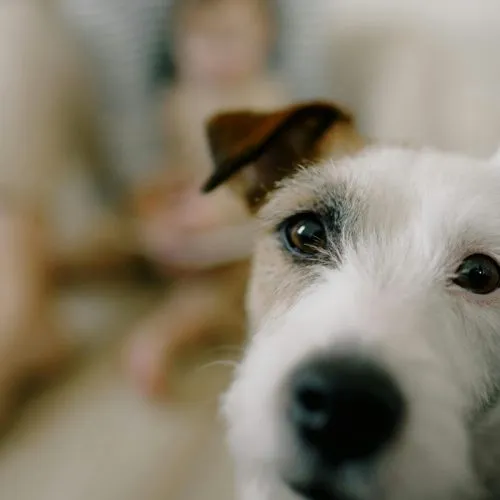 ただ食事をするだけでなく、人と人との繋がりが生まれ、心がホッと和む時間があります