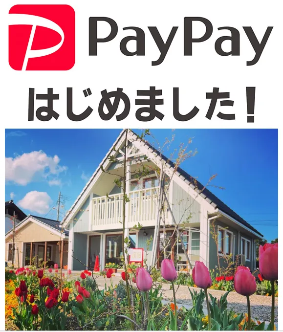 PayPay始めました