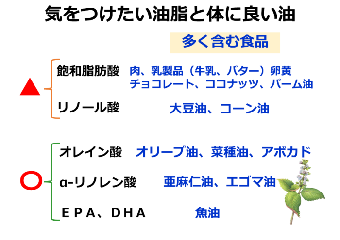 タンパク質と脂質について