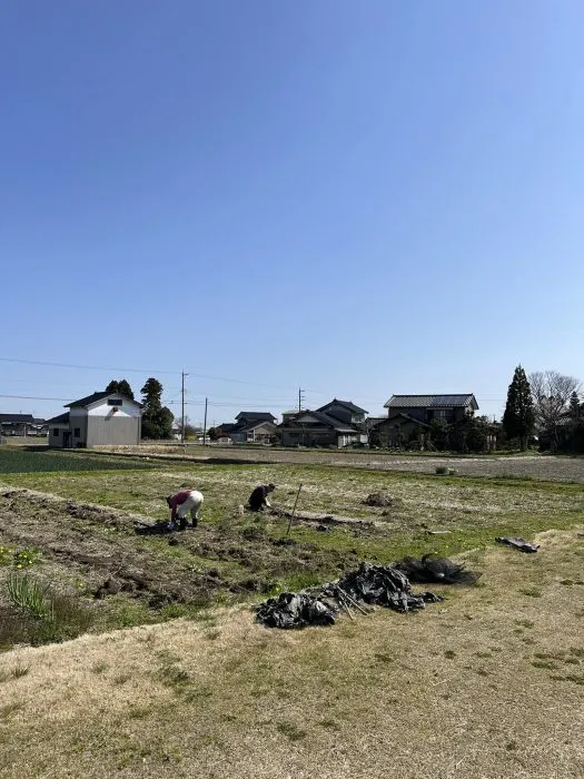 花壇と菜園の草むしり