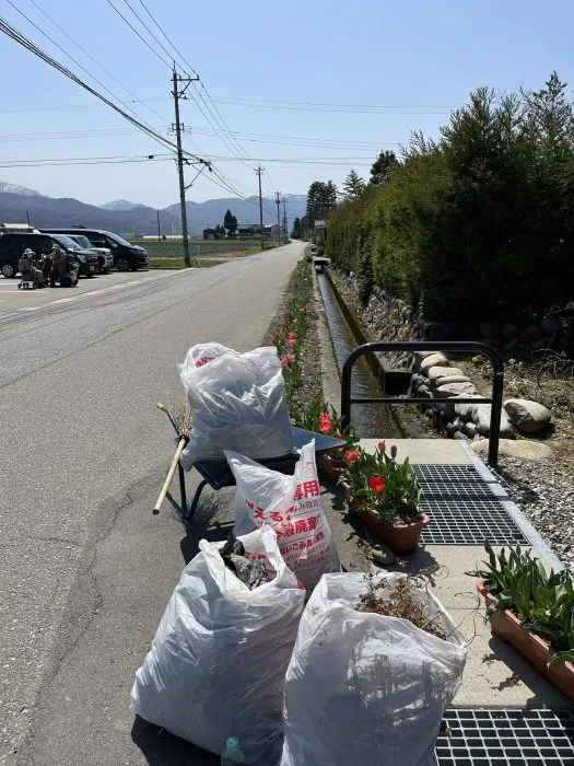 花壇と菜園の草むしり