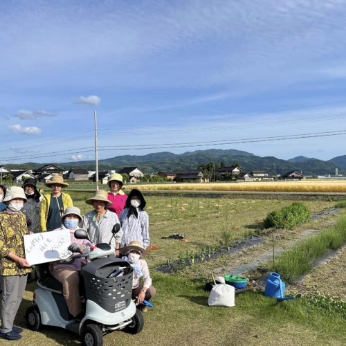 ものがたり園芸くらぶ