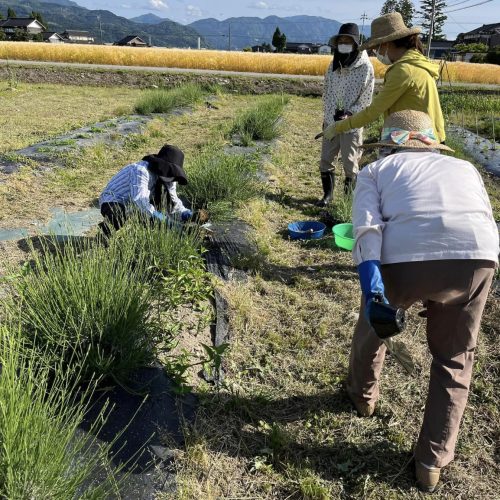 ものがたり園芸くらぶ