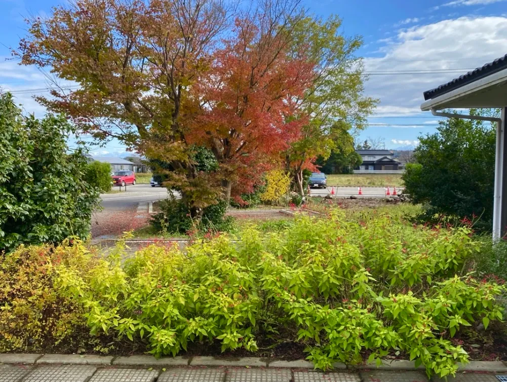 秋のきれいな風景