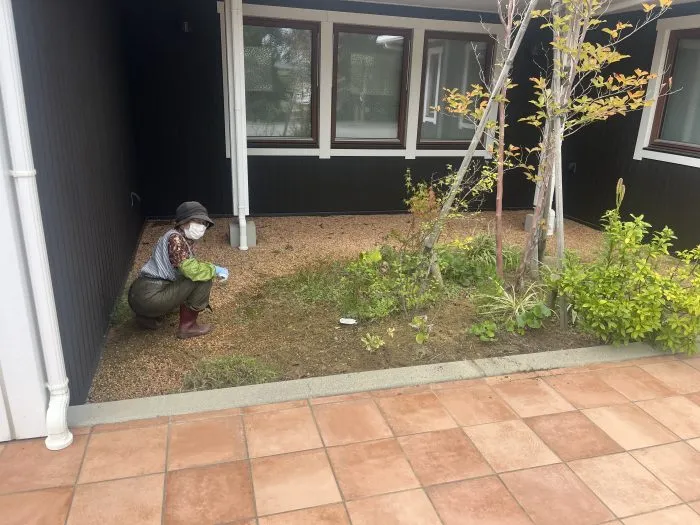 花壇のメンテナンス＆土づくり