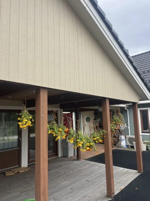 花壇のメンテナンス＆土づくり