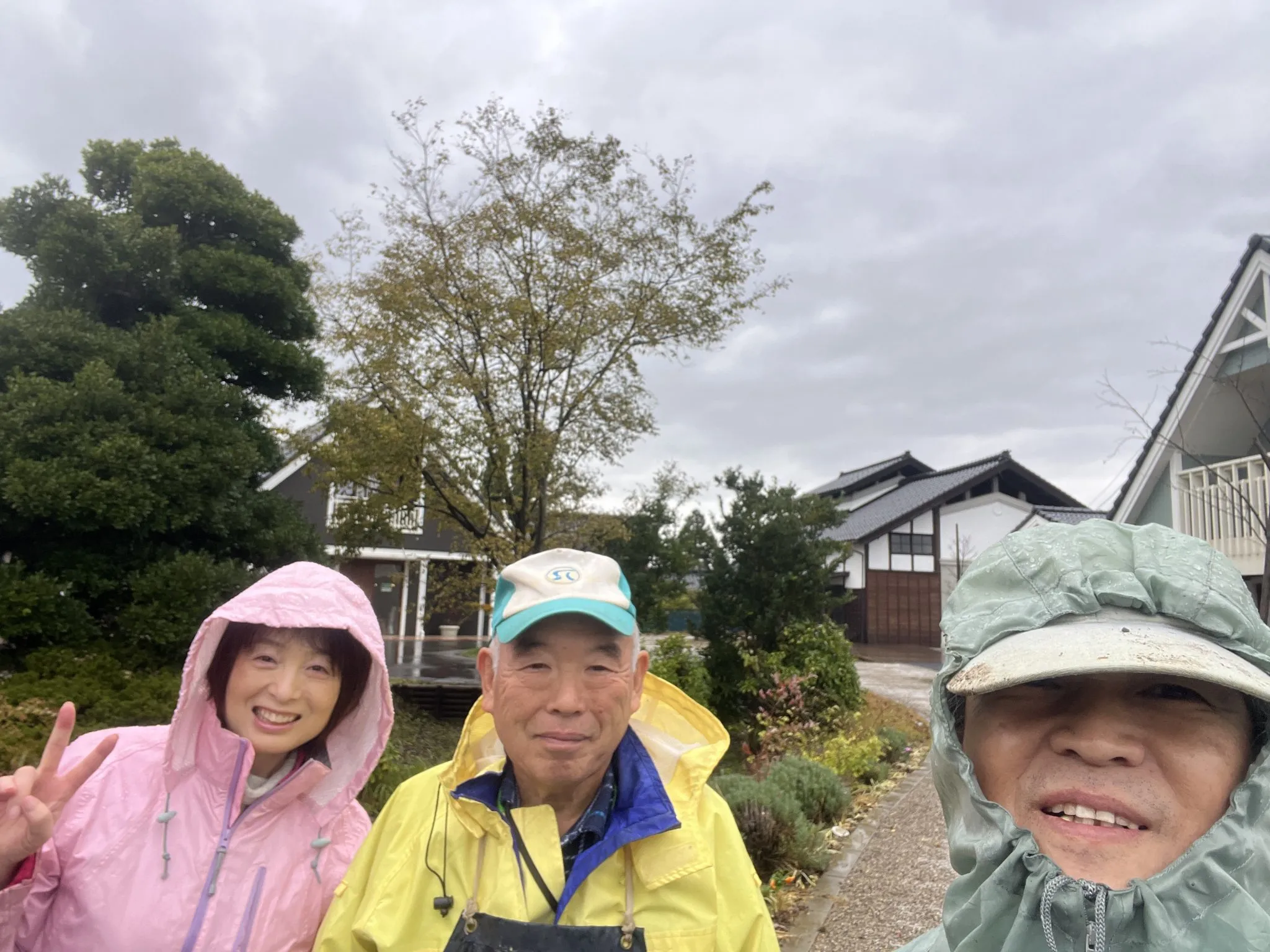 砺波産のチューリップの球根植え付けます