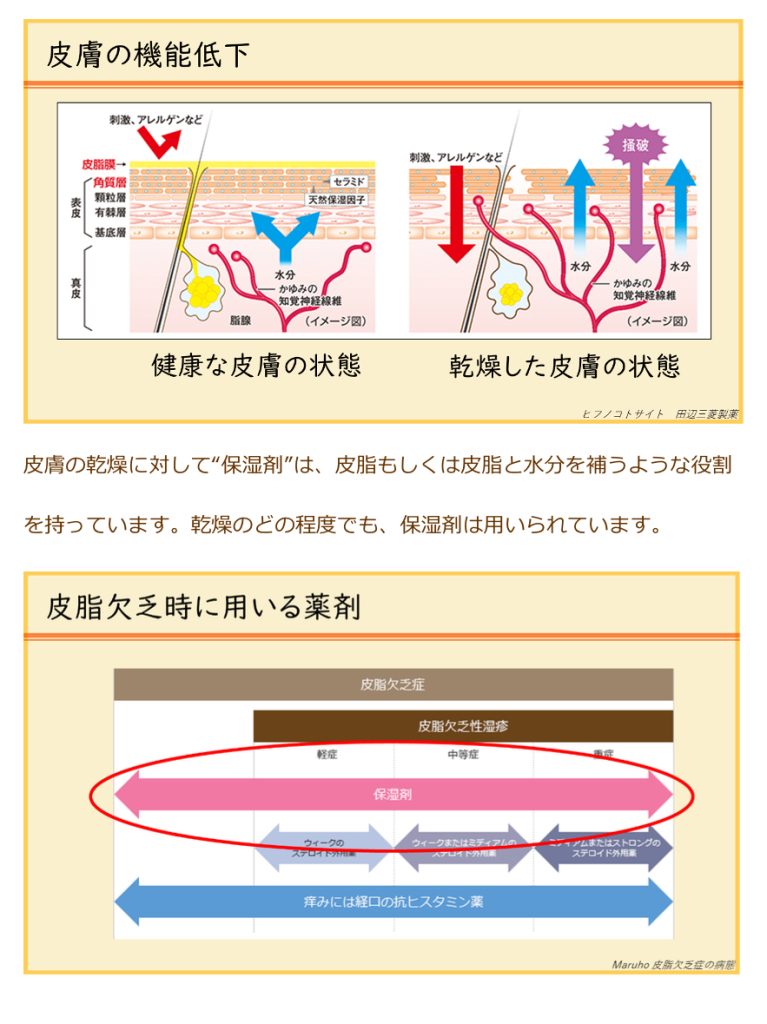 身近なくすり〜保湿剤〜