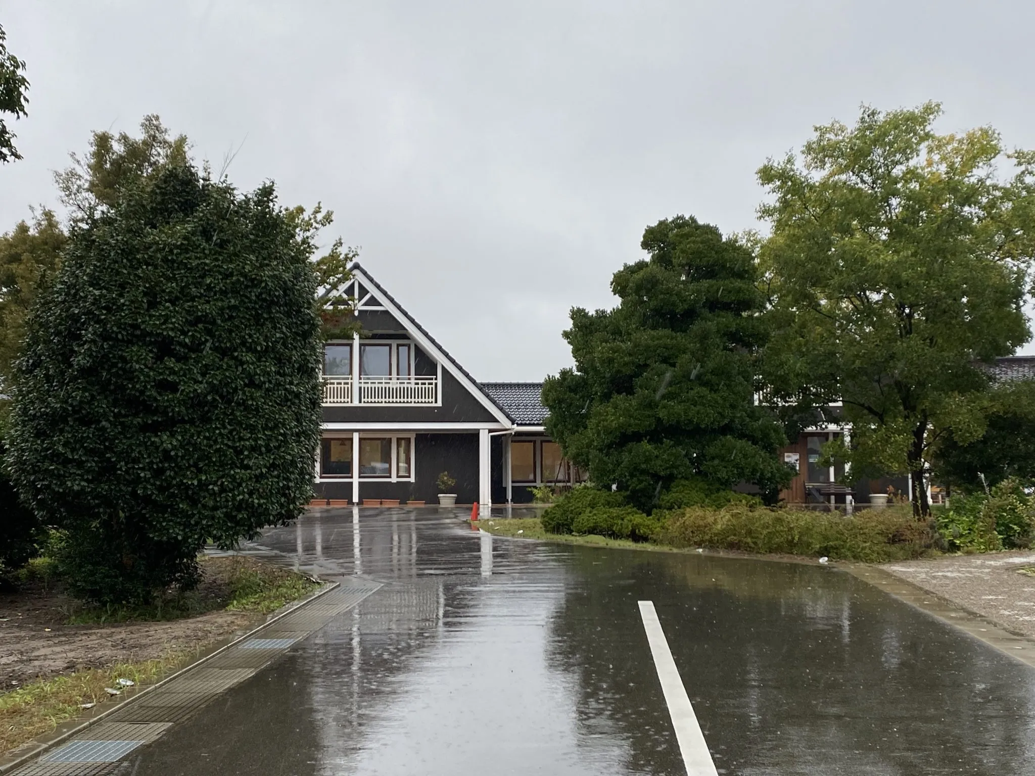 しっとりとした雨は、植物達に潤いをもたらし、ぐんと成長を見せています
