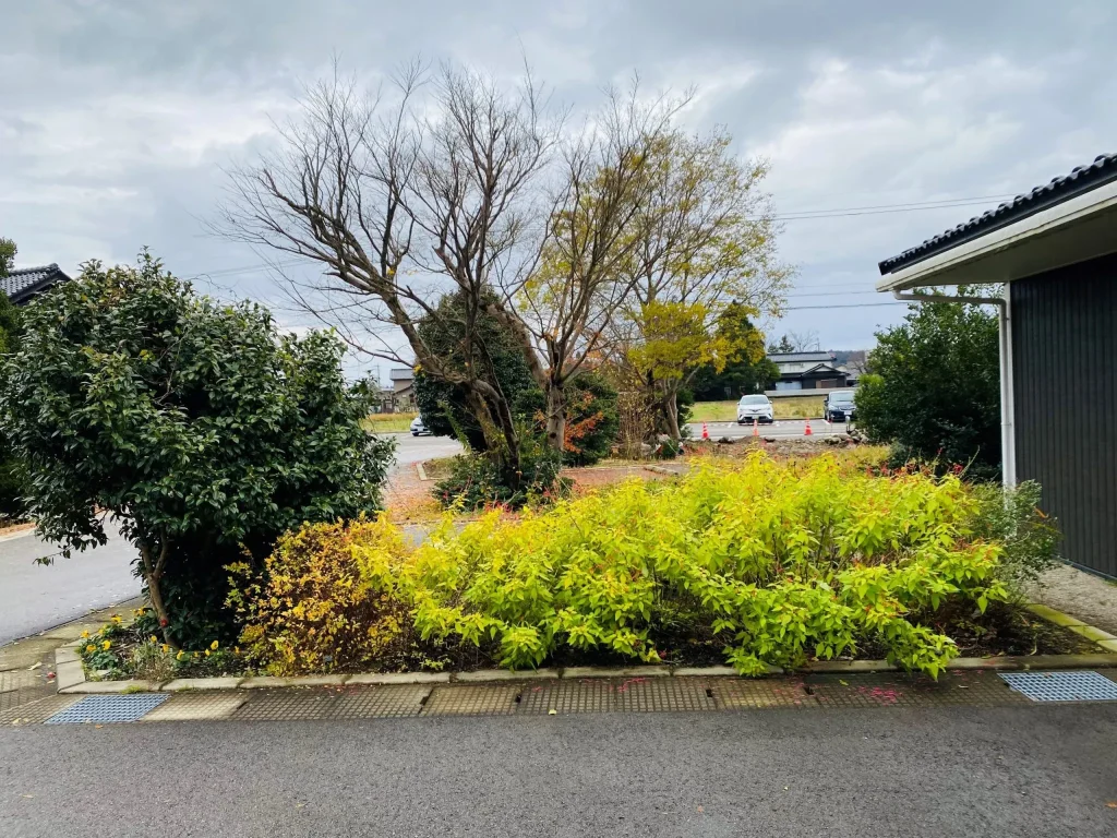 雪が降る前に宿根草の剪定