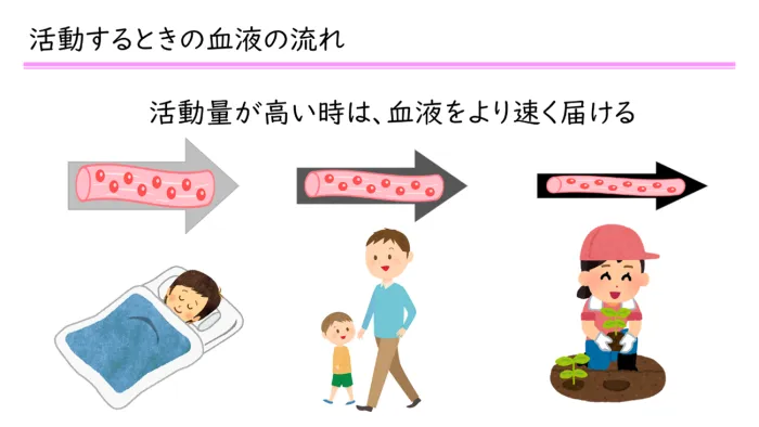 血圧の薬と柑橘類