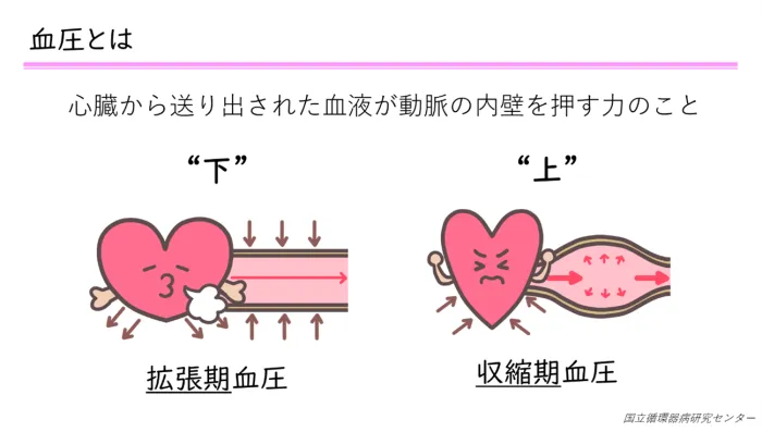 血圧の薬と柑橘類