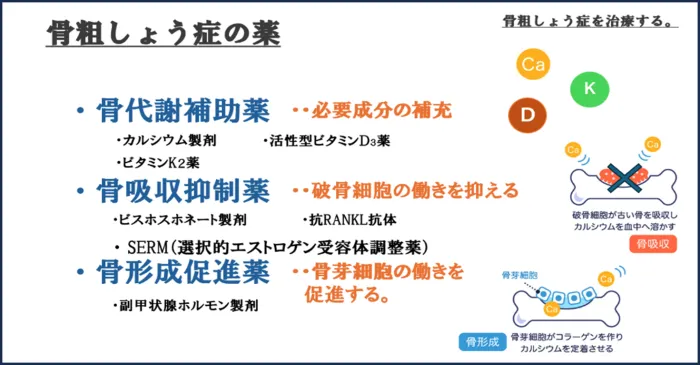 骨粗しょう症について