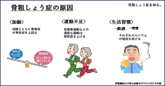 骨粗しょう症について