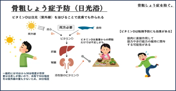 骨粗しょう症について