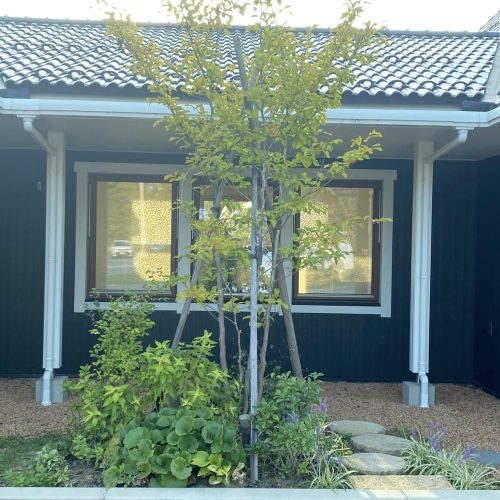 ハーブ摘み取り&活用講座