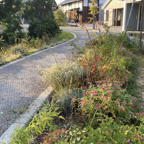 ハーブ摘み取り&活用講座