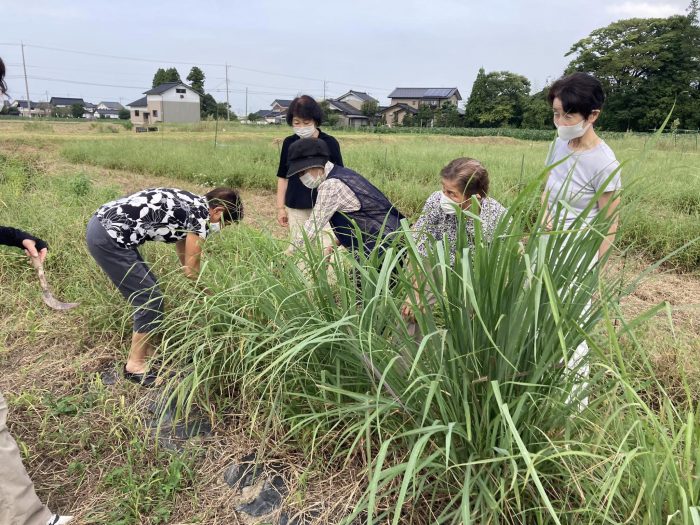 ハーブ摘み取り&活用講座