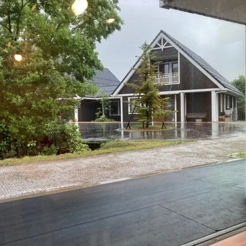 Rainy Days and Mondays