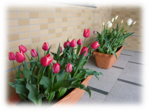 消えていく歴史