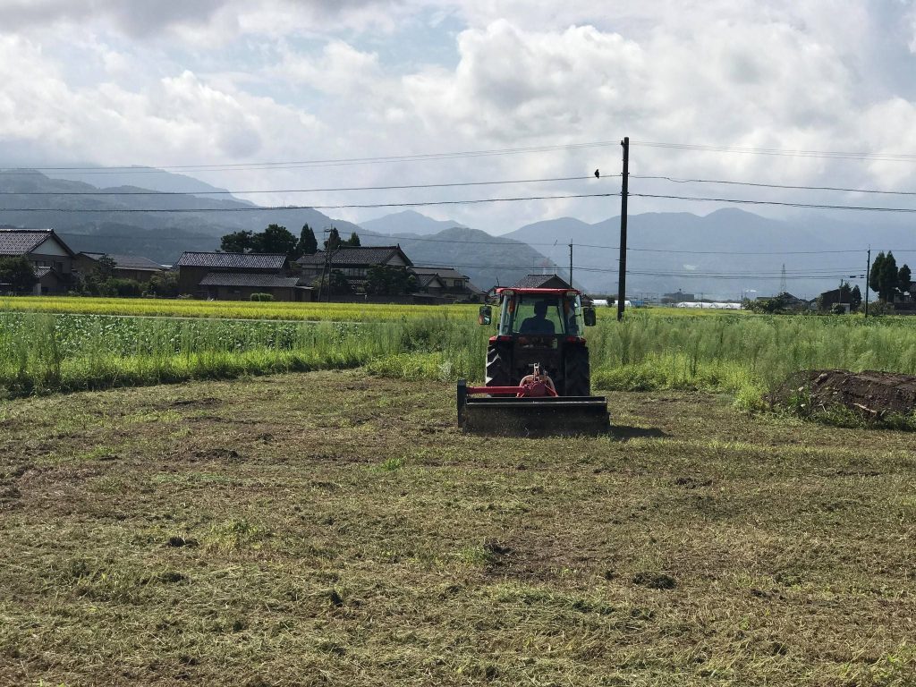 ものがたり菜園、始動!