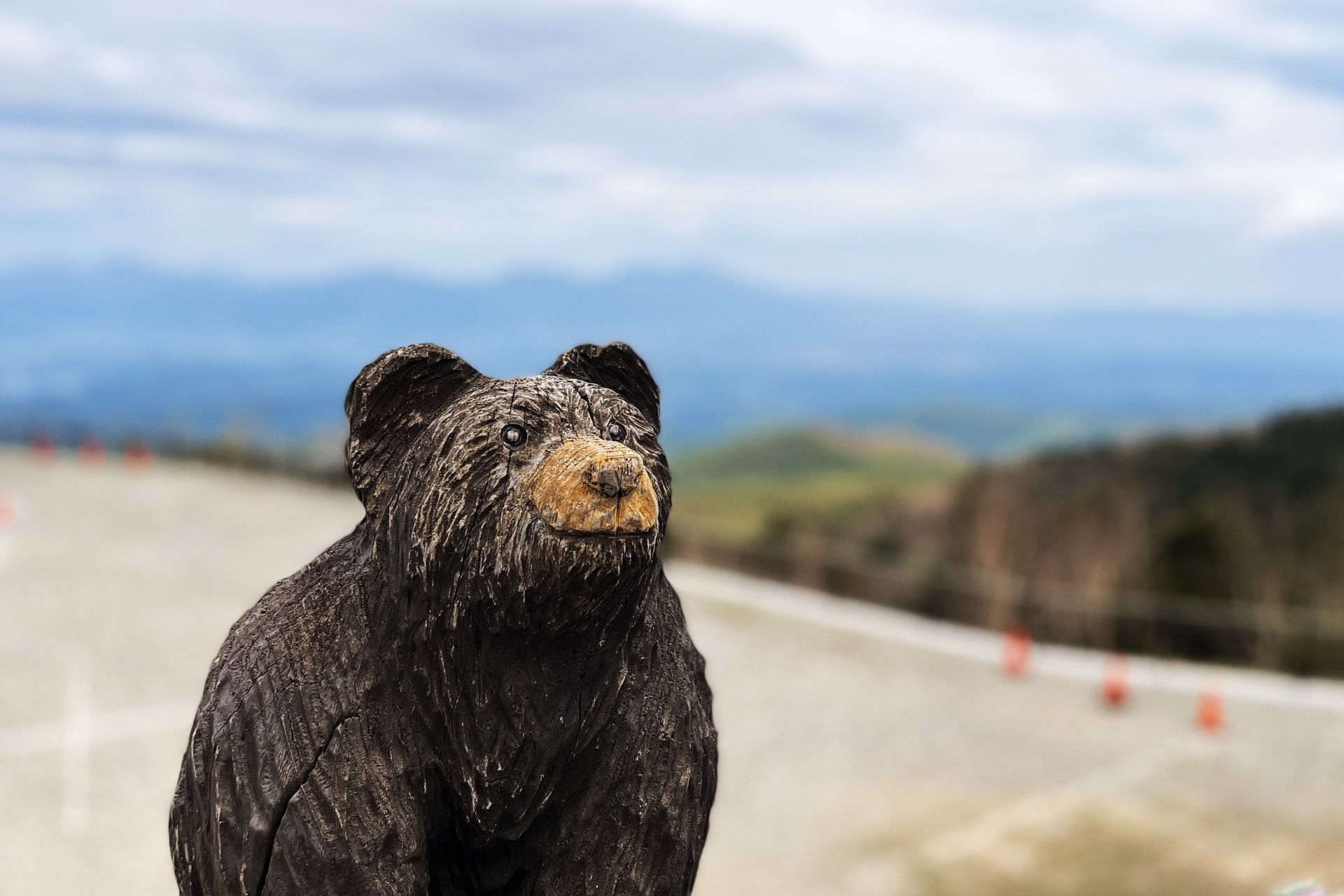 熊について考える