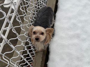 あるインタビューでの返答