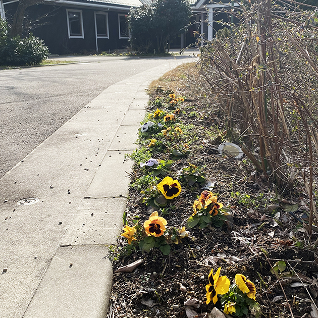 ものがたりの街