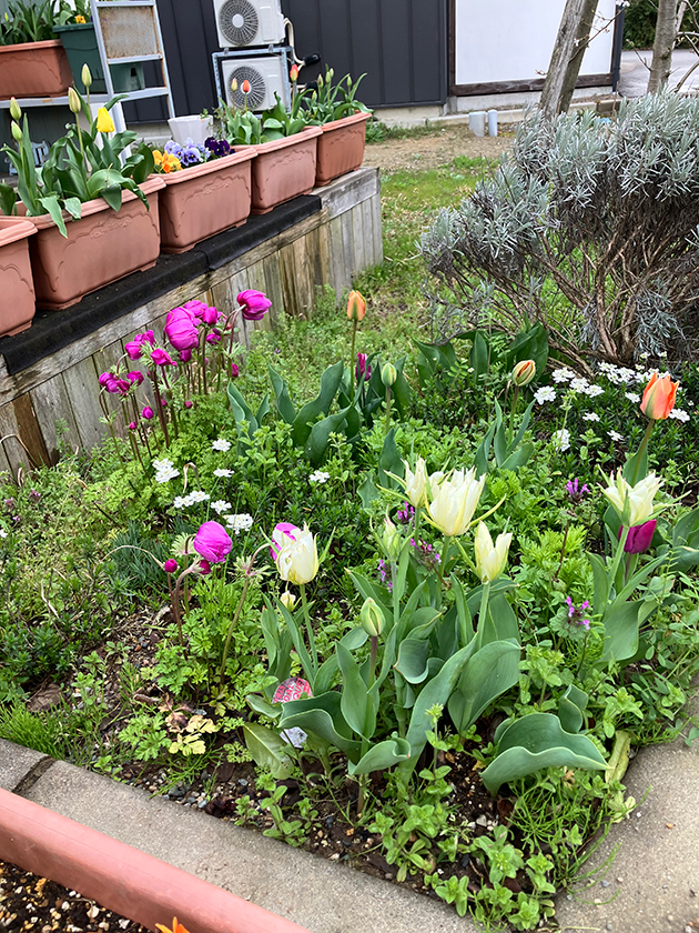 私たちのものがたり