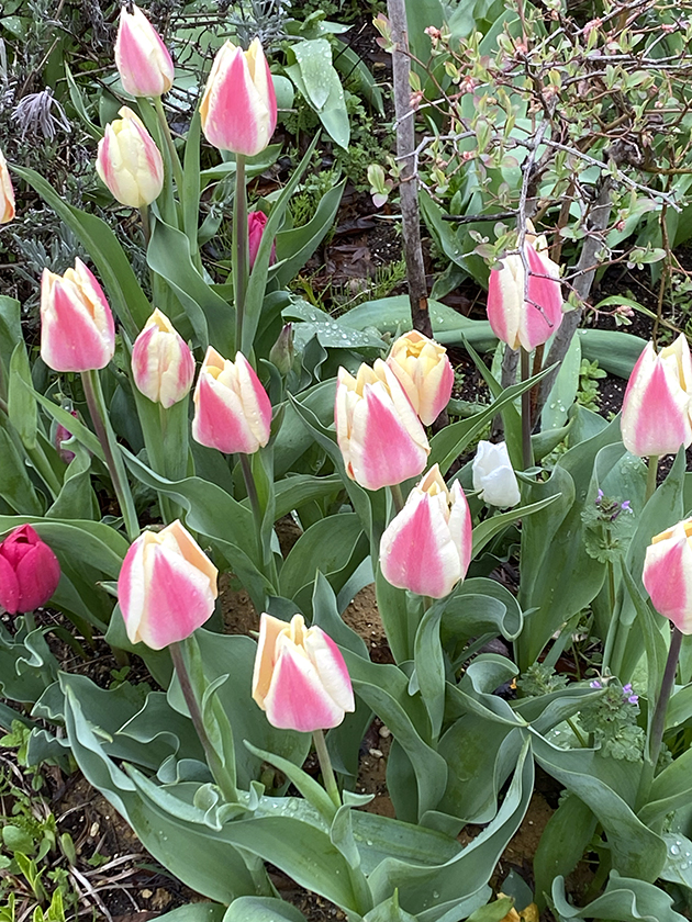 ものがたりの街