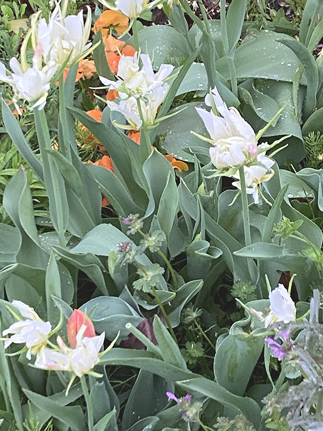 ものがたりの街