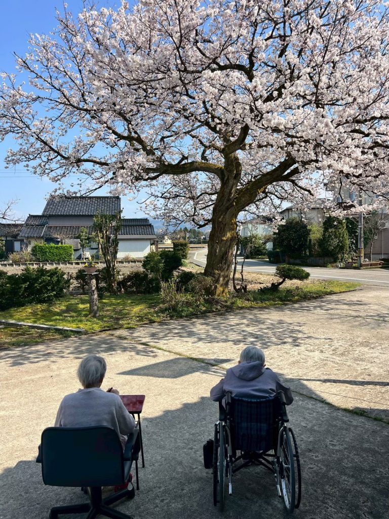 『来年も予約ね！』桜の下で交わした大切な約束
スタッフブログ