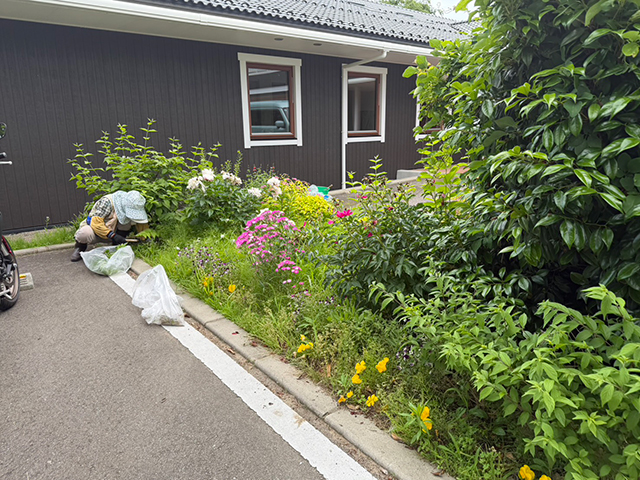 太田地区のみなさんと一緒に！夏の「ものがたりの街」庭木のお手入れと草とり