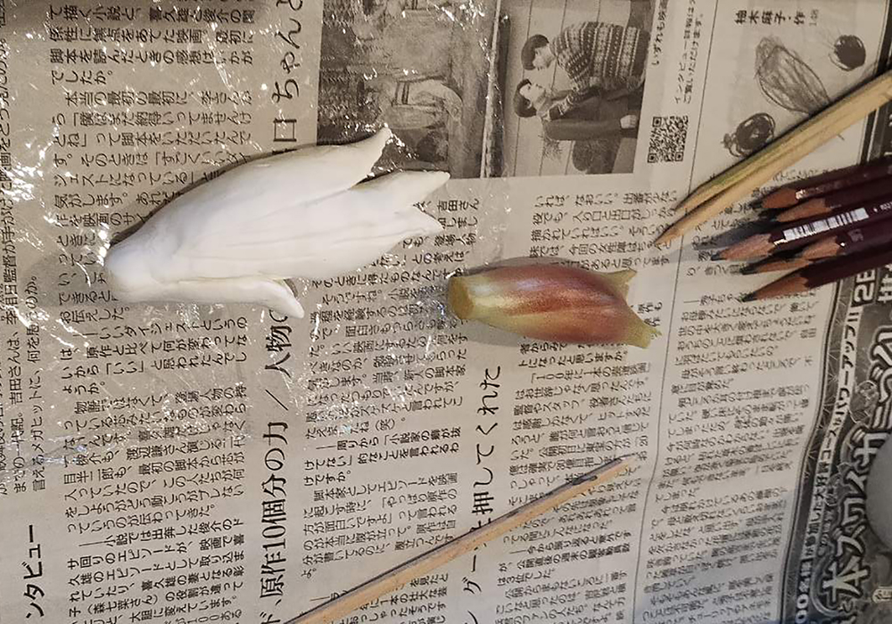 じっくり見て、形をなぞる