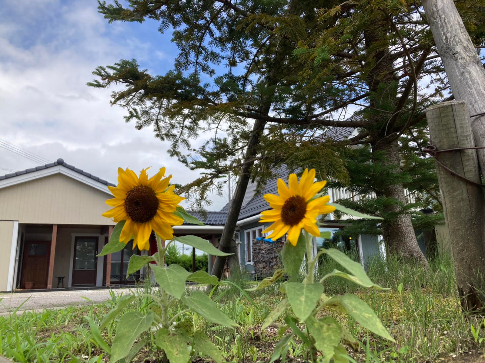 特定健診も折り返し地点！