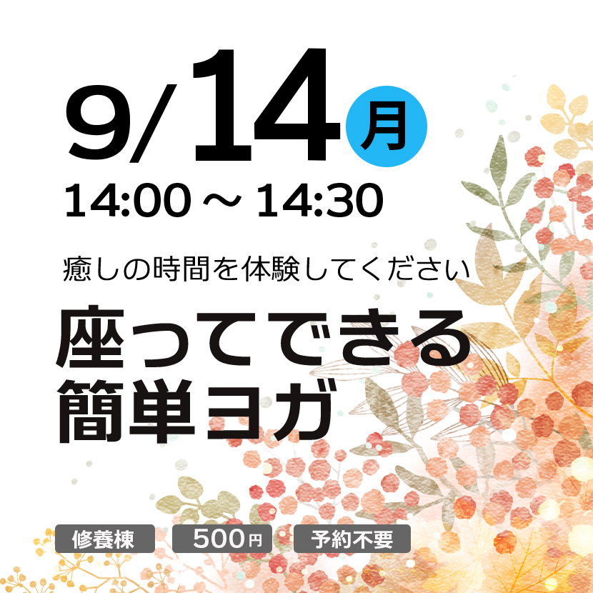 座ってできる簡単ヨガ